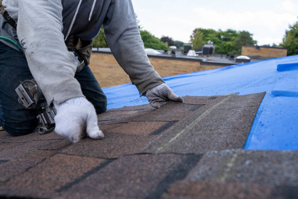 Best Roof Leak Repair  in Baileyton, AL