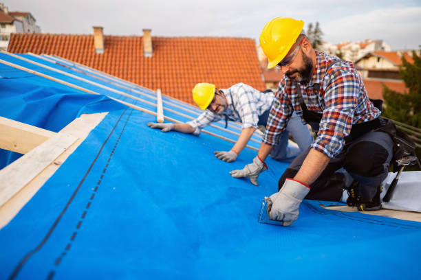 Best Roof Gutter Cleaning  in Baileyton, AL